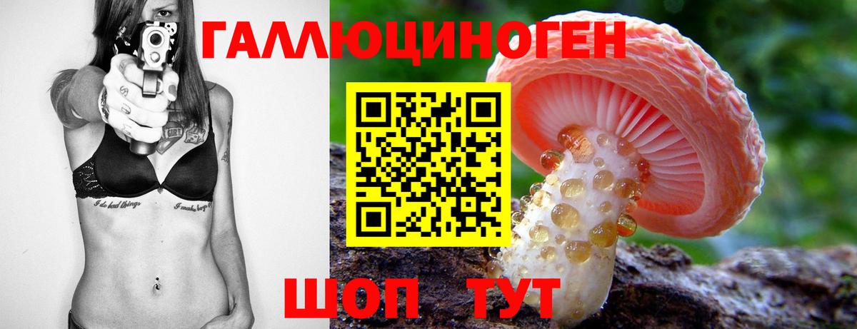 где найти наркотики  Галлюциногенные грибы мухоморы  Вход с VPN  Дагестанские Огни 
