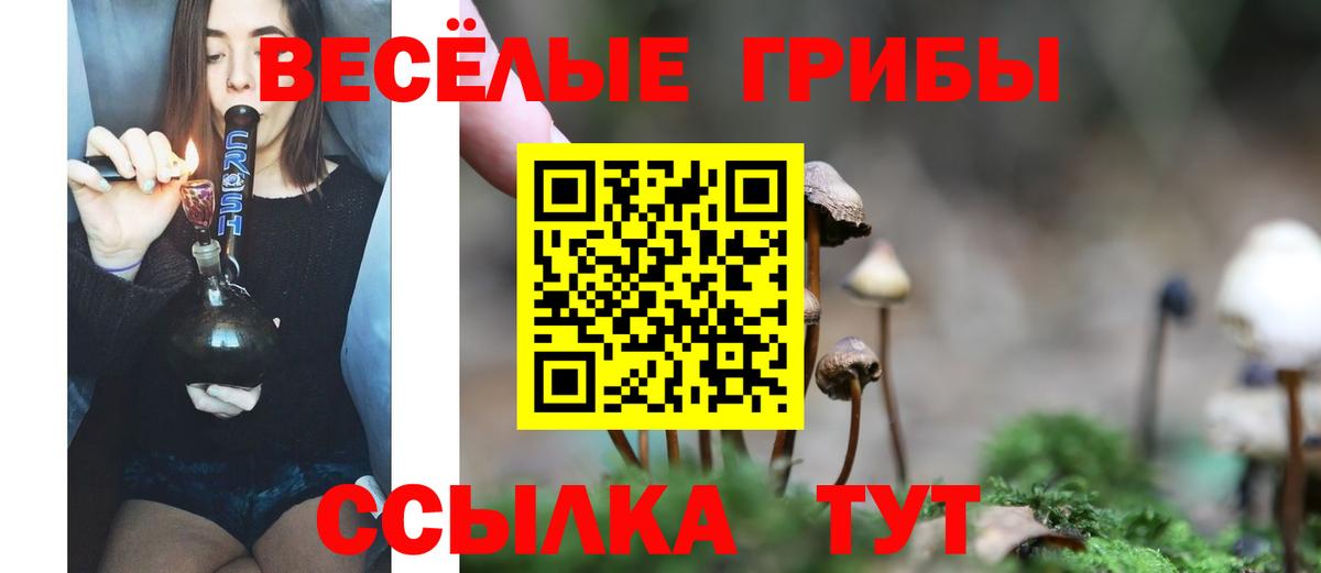 Галлюциногенные грибы Magic Shrooms Дагестанские Огни
